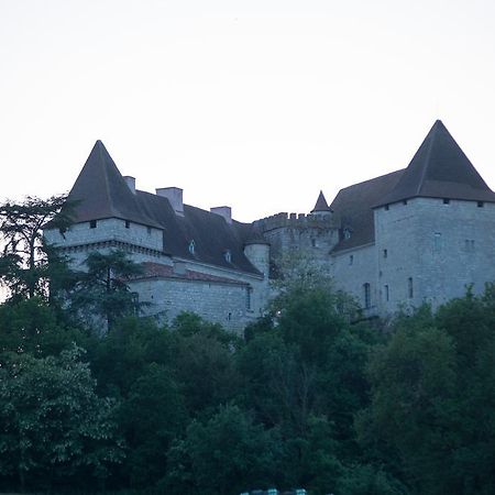 Chateau De Goudourville Villa Exterior photo